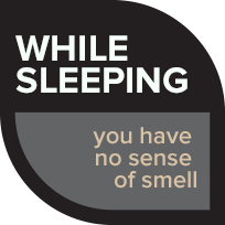 You have no sense of smell when sleeping.