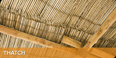 Thatch